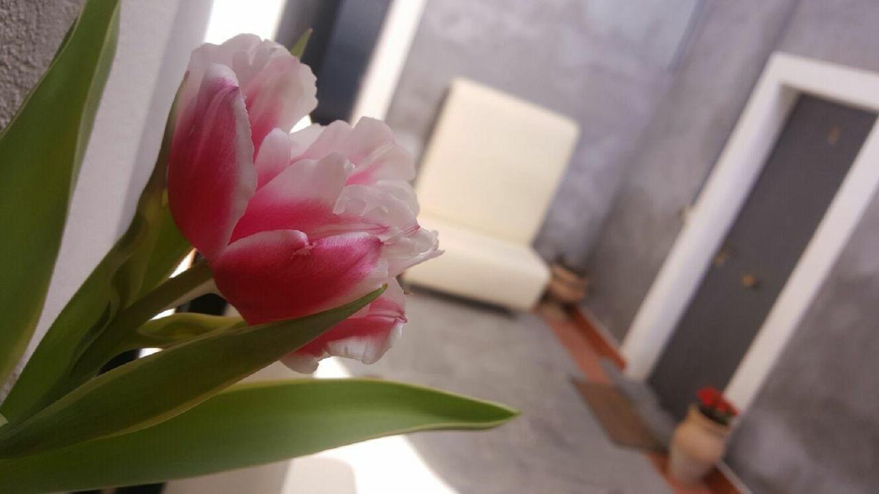 I Cappuccini Rooms カターニア エクステリア 写真
